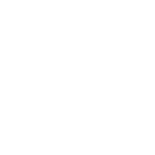 wheelchair icon